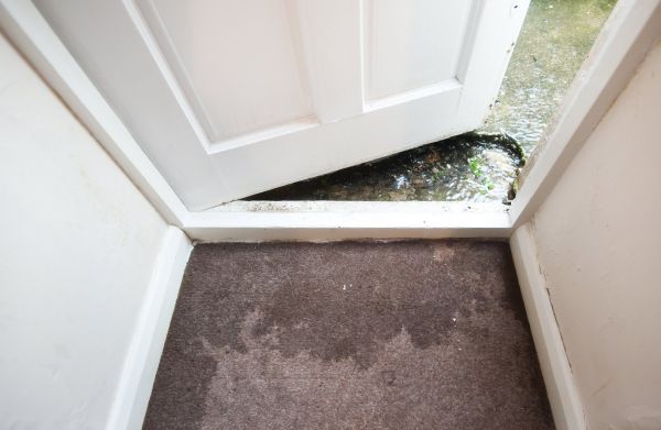Wet Carpet Restoration in Naperville