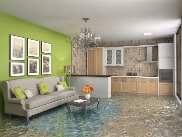 Wet Carpet Drying in Naperville