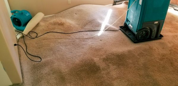 Carpet Water Extraction in Naperville