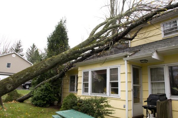 Hurricane Damage Repair in Naperville